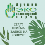 IV Всероссийский конкурс «Лучший эковолонтерский отряд»