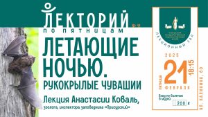 Подробнее о статье Лекторий по пятницам: Летающие ночью. Рукокрылые Чувашии