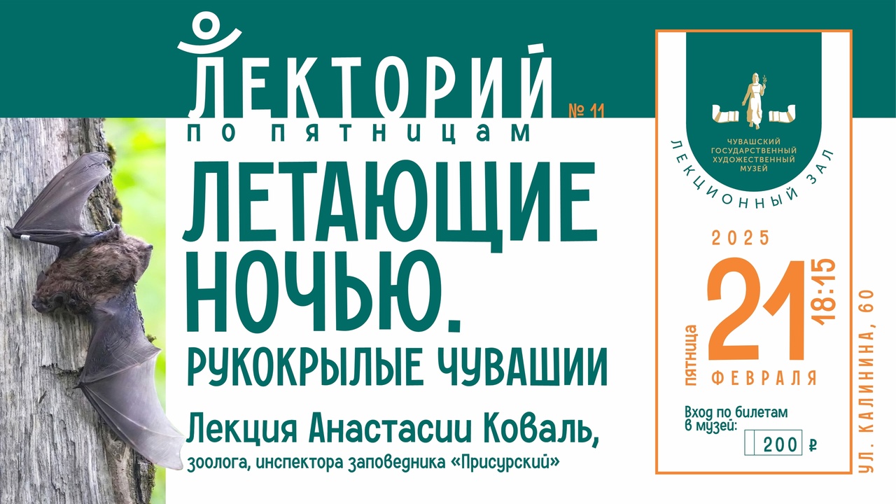 Вы сейчас просматриваете Лекторий по пятницам: Летающие ночью. Рукокрылые Чувашии